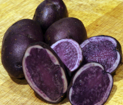purple potatoes for lower blood pressure